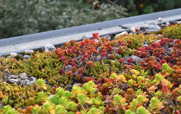 the cost of Otham Hole green roof installation