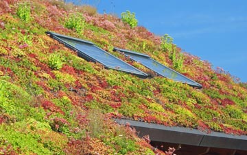 Otham Hole living roof systems