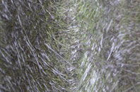 Otham Hole fibreglass roof work